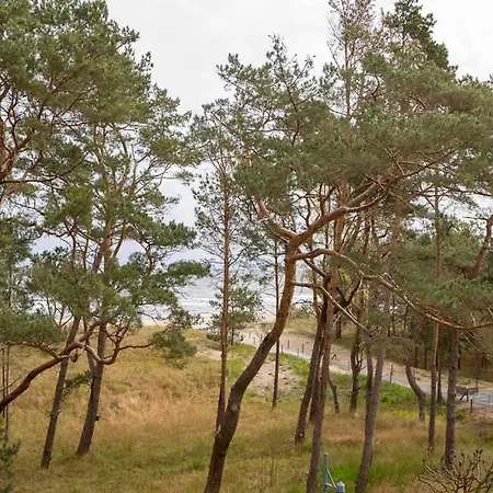 Strandresidenz Else Marie App 2 11